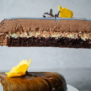 Mousse cake recipe set "Spring"