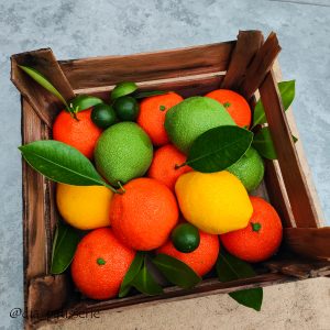 Citrusų dežutė pamoka/Citrus box tutorial